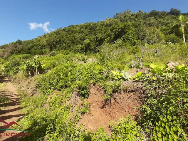 Imagem 11: AREA RURAL em Nova Petrópolis - RS, Pedancino