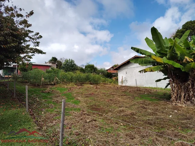 Imagem 2: TERRENO RESIDENCIAL em Nova Petrópolis - RS, Vila Germania