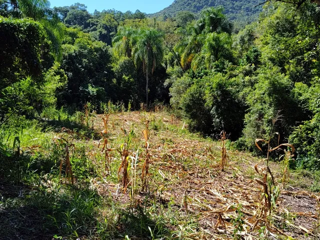 Imagem 3: TERRENO COMERCIAL em PICADA CAFÉ - RS, Centro