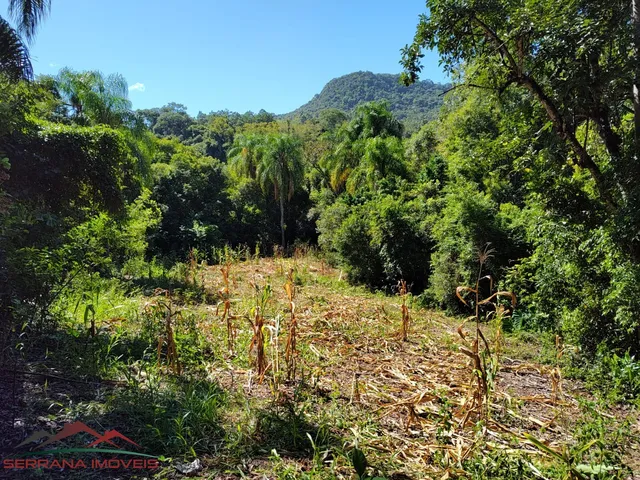 Imagem 2: TERRENO COMERCIAL em PICADA CAFÉ - RS, Centro