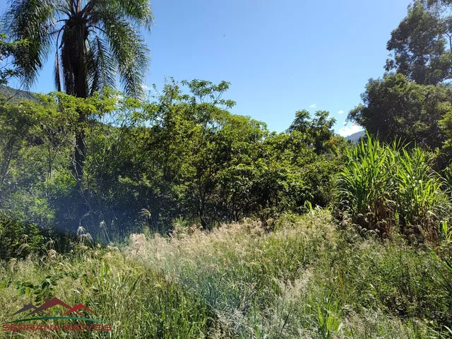 Imagem 11: TERRENO COMERCIAL em PICADA CAFÉ - RS, Centro