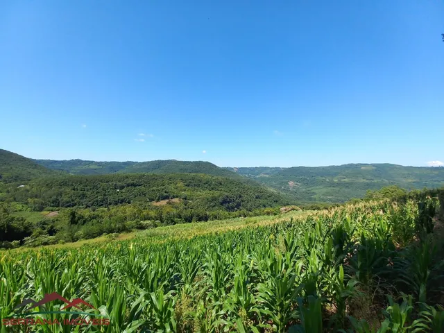 Imagem 5: AREA RURAL em Nova Petrópolis - RS, Vila Germania