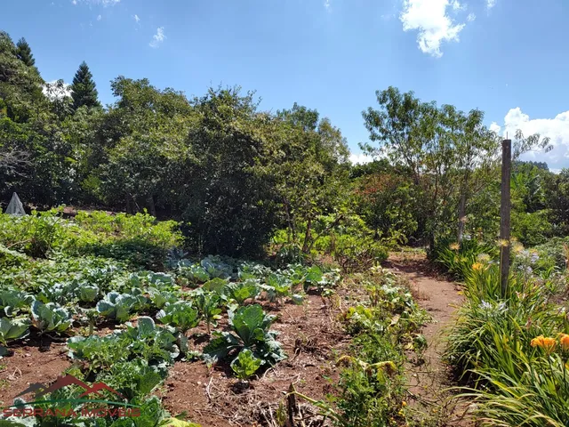 Imagem: TERRENO RESIDENCIAL em Nova Petrópolis