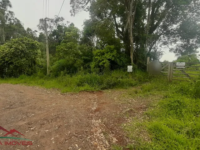 Imagem 8: AREA RURAL em Nova Petrópolis - RS, São Jacó
