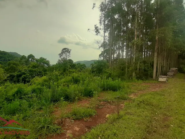 Imagem 14: AREA RURAL em Nova Petrópolis - RS, São Jacó