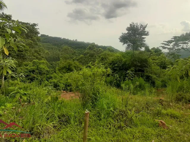 Imagem 3: AREA RURAL em Nova Petrópolis - RS, São Jacó