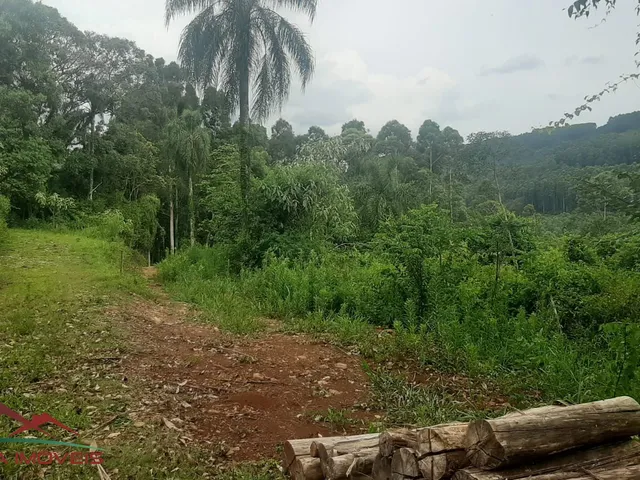 Imagem 5: AREA RURAL em Nova Petrópolis - RS, São Jacó
