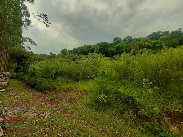 Imagem 4: AREA RURAL em Nova Petrópolis - RS, São Jacó