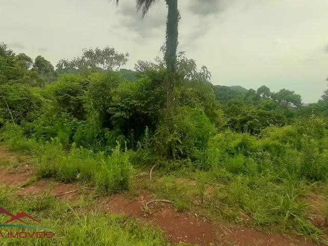 Imagem 13: AREA RURAL em Nova Petrópolis - RS, São Jacó