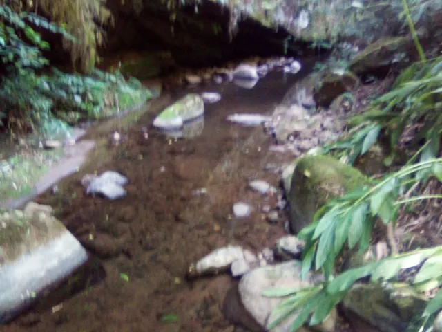 Imagem 15: AREA RURAL em Nova Petrópolis - RS, Arroio Paixão
