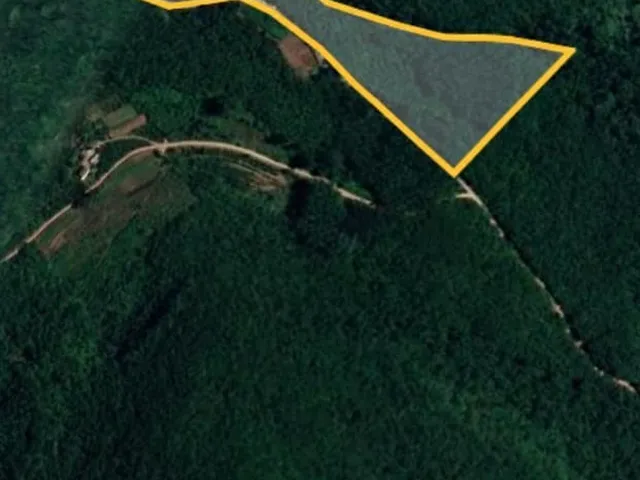 Imagem 16: AREA RURAL em Nova Petrópolis - RS, Arroio Paixão