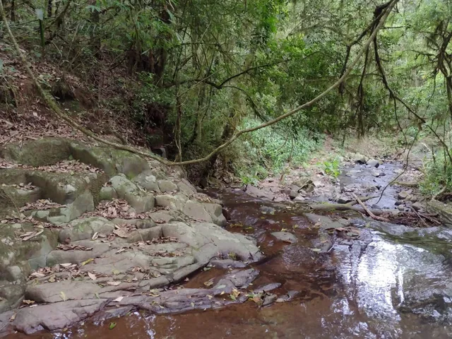 Imagem 4: AREA RURAL em Nova Petrópolis - RS, Arroio Paixão