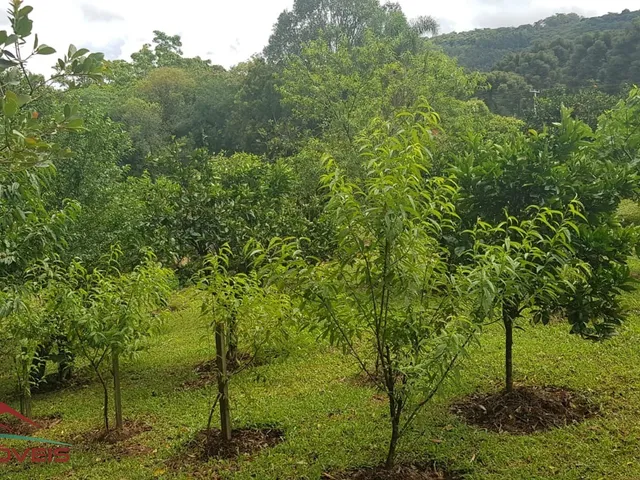 Imagem 14: CASA RESIDENCIAL em Nova Petrópolis - RS, Linha Imperial