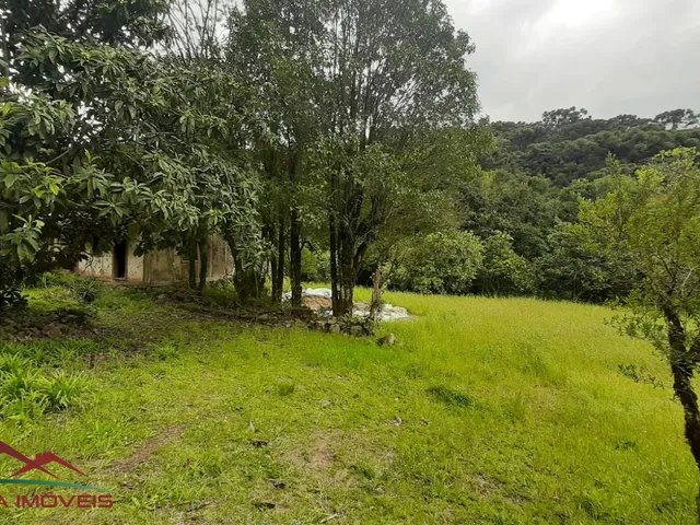 Imagem 7: AREA RESIDENCIAL em Nova Petrópolis - RS, Pirajá Baixa