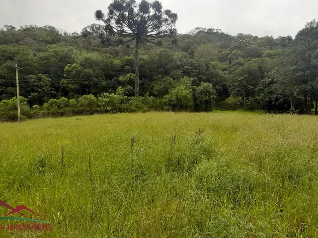 Imagem 10: AREA RESIDENCIAL em Nova Petrópolis - RS, Pirajá Baixa
