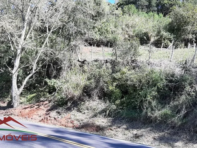 Imagem: AREA RURAL em Nova Petrópolis - RS, Vila