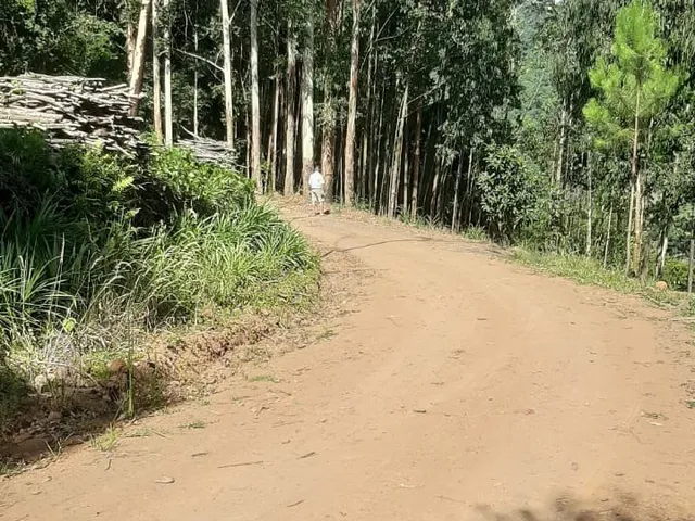 Imagem: AREA RURAL em PICADA CAFÉ - RS, BR 116