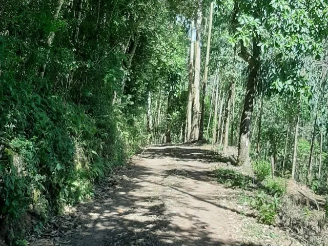 Imagem 5: AREA RURAL em PICADA CAFÉ - RS, BR 116