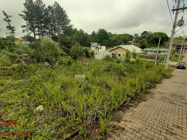 Imagem 14: TERRENO RESIDENCIAL em Nova Petrópolis - RS, Linha Imperial