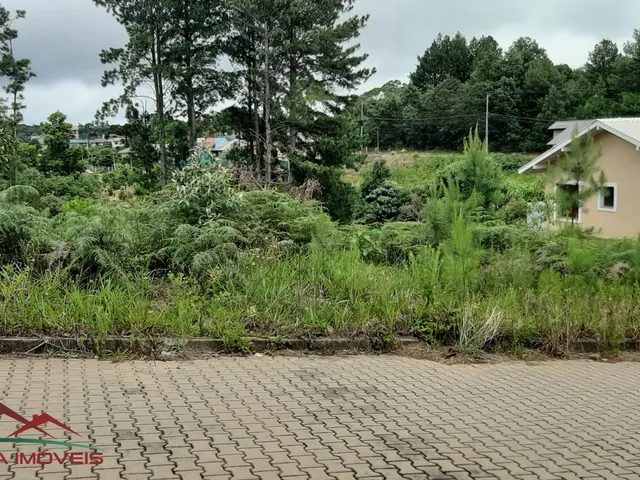 Imagem 5: TERRENO RESIDENCIAL em Nova Petrópolis - RS, Linha Imperial
