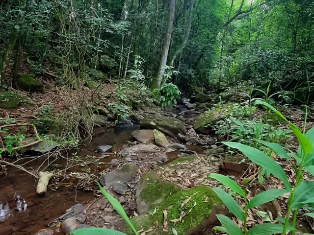 Imagem: AREA RURAL em Nova Petrópolis - RS, Nove