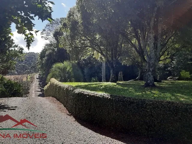 Imagem 5: CHACARA RURAL em Nova Petrópolis - RS, Linha Imperial