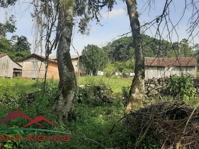 Imagem 11: AREA RURAL em Linha Nova - RS, Linha Olinda