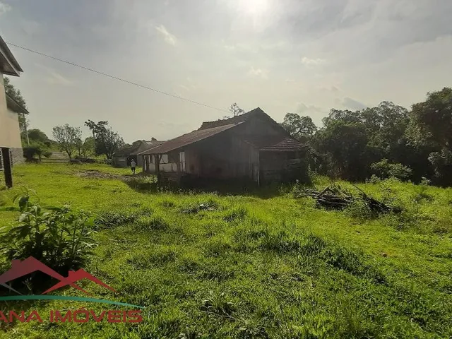 Imagem 14: AREA RURAL em Linha Nova - RS, Linha Olinda