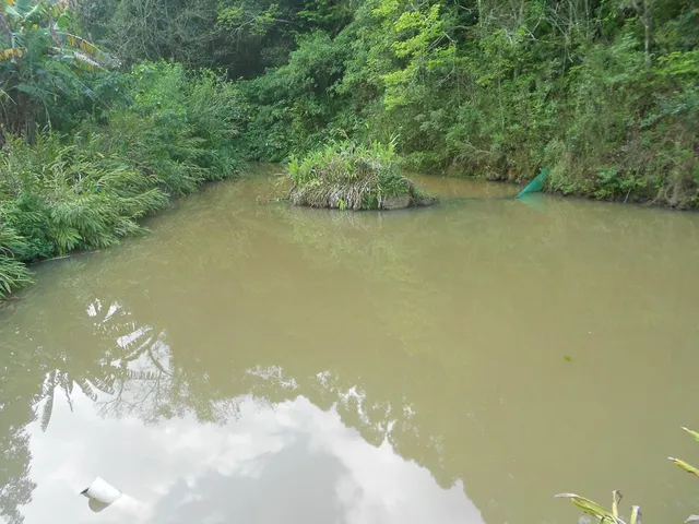 Imagem 6: SITIO RURAL em Nova Petrópolis - RS, Linha Olinda