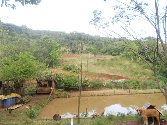 Imagem 9: SITIO RURAL em Nova Petrópolis - RS, Linha Olinda