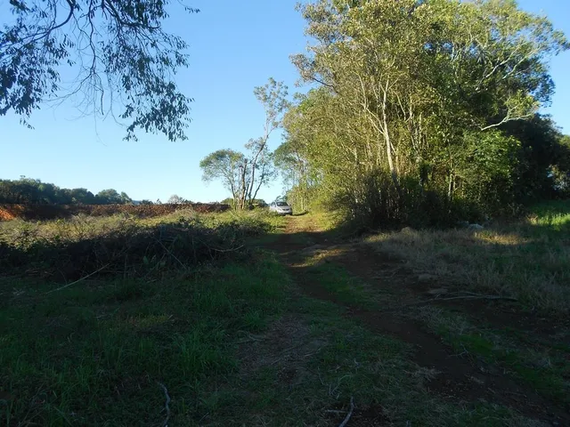 Imagem 4: AREA RURAL em Nova Petrópolis - RS, Pinhal Alto