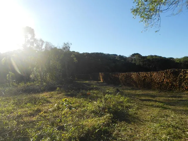 Imagem 7: AREA RURAL em Nova Petrópolis - RS, Pinhal Alto
