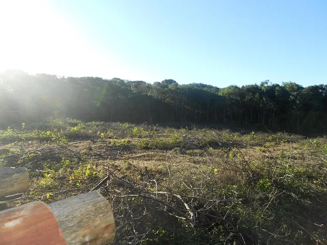 Imagem 10: AREA RURAL em Nova Petrópolis - RS, Pinhal Alto