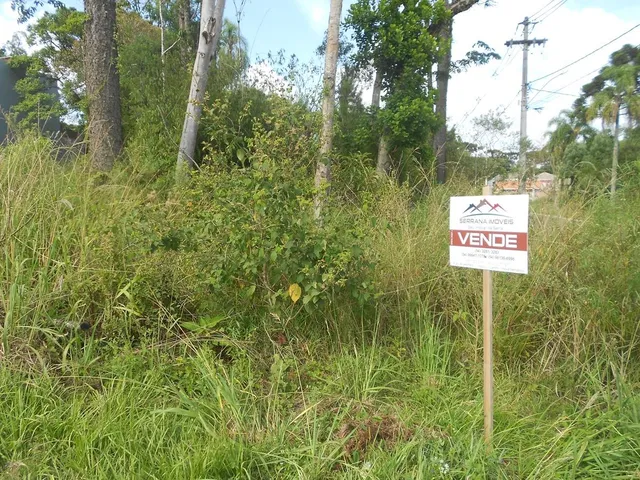 Imagem: TERRENO COMERCIAL em Nova Petrópolis