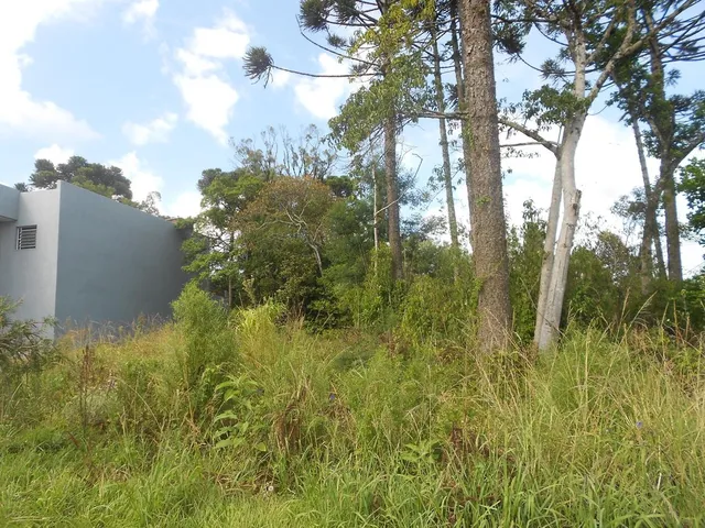 Imagem 4: TERRENO COMERCIAL em Nova Petrópolis - RS, Vila Germania