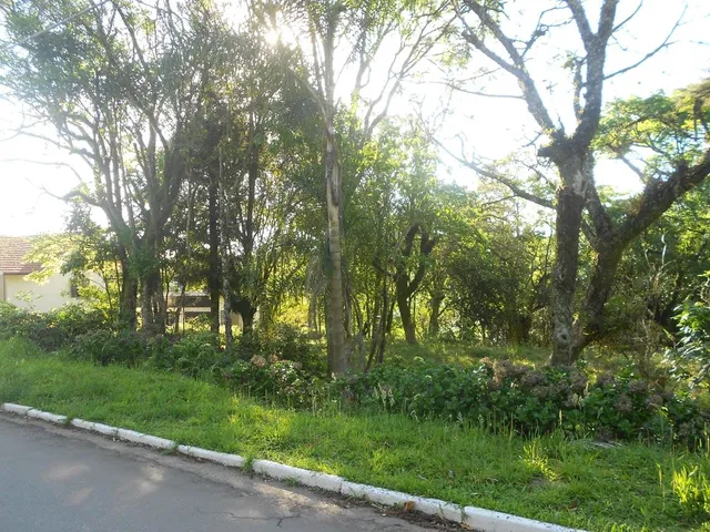 Imagem 4: TERRENO COMERCIAL em Nova Petrópolis - RS, Vila Olinda