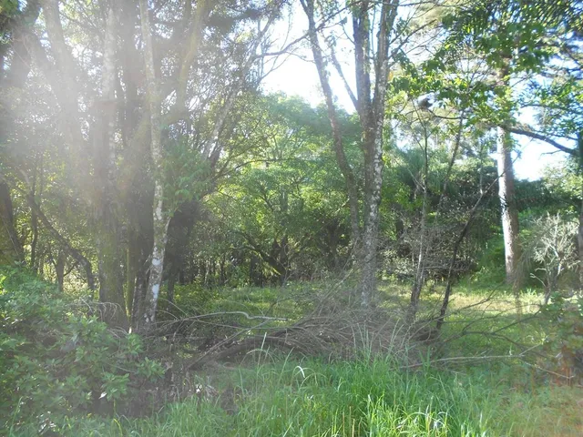 Imagem 7: TERRENO COMERCIAL em Nova Petrópolis - RS, Vila Olinda