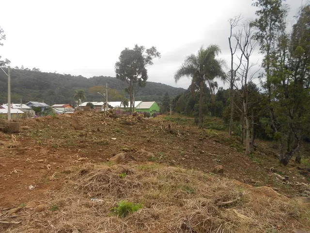 Imagem: TERRENO RESIDENCIAL em Nova Petrópolis