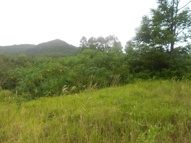 Imagem 3: TERRENO COMERCIAL em Picada Café - RS, Picada Holanda
