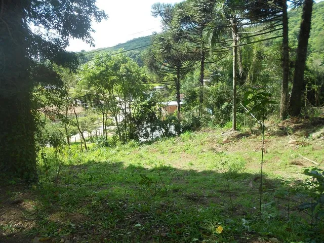 Imagem 2: TERRENO COMERCIAL em Nova Petrópolis - RS, Piá