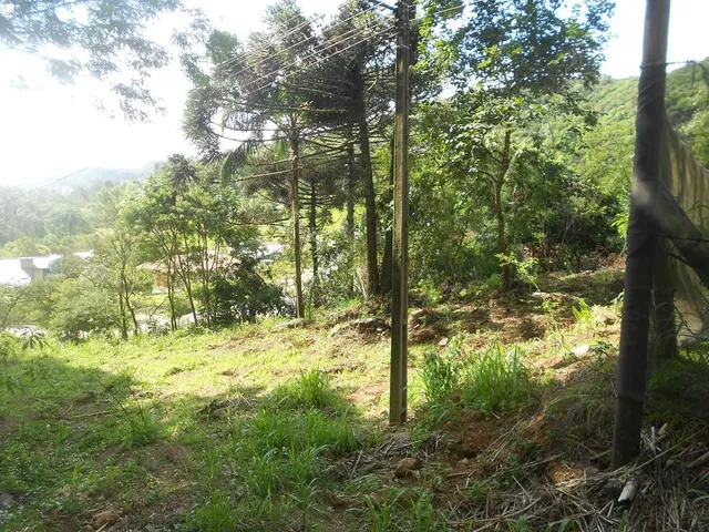 Imagem 8: TERRENO COMERCIAL em Nova Petrópolis - RS, Piá