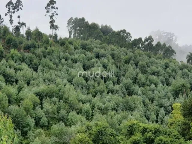 Imagem 13: Chácara Campo Magro