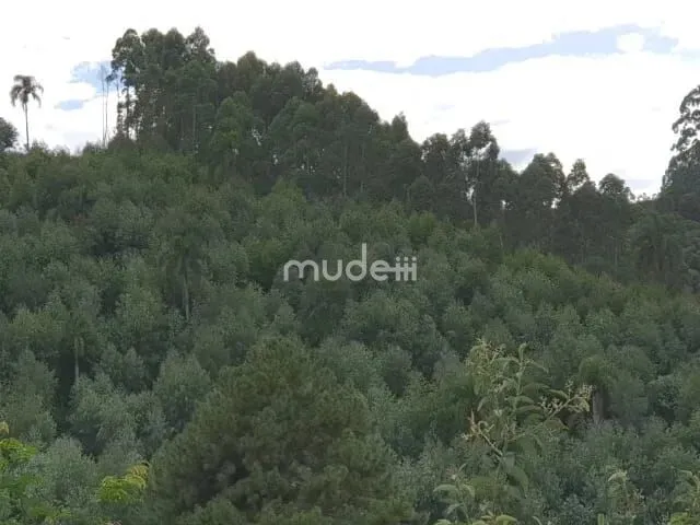 Imagem 10: Chácara Campo Magro