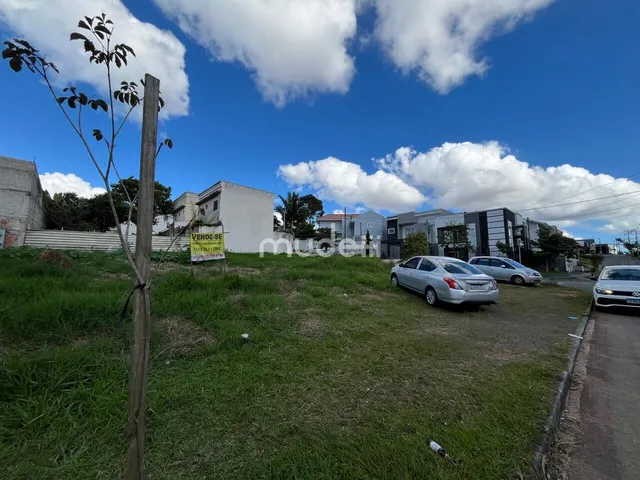 Imagem 3: Terreno no bairro Monte Líbano