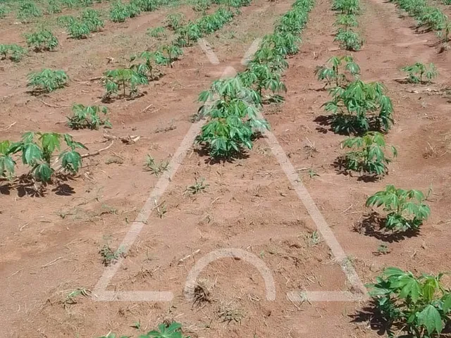 Imagem 10: SITIO RURAL em JACUTINGA - MG, JACUTINGA