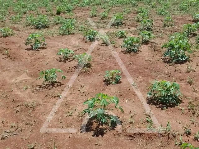 Imagem 12: SITIO RURAL em JACUTINGA - MG, JACUTINGA