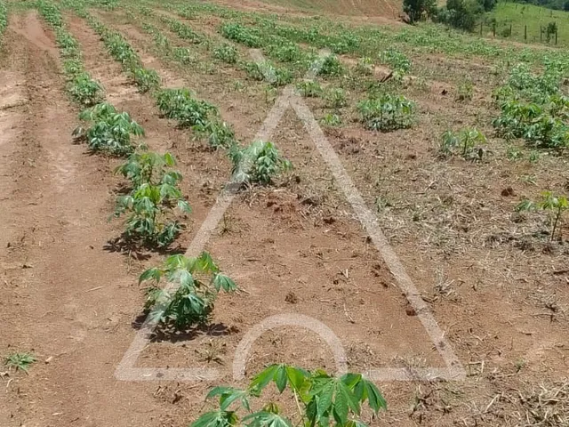Imagem 15: SITIO RURAL em JACUTINGA - MG, JACUTINGA