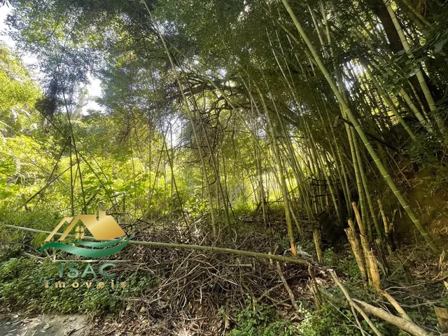 Imagem 4: Oportunidade!! Chácara com 5 casas á venda em Mairiporã/SP