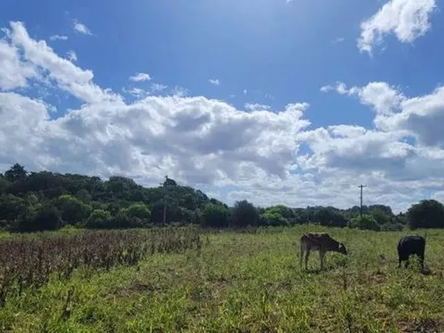 Imagem: Velleda Oferece Belíssimo Sítio 6 Hectares