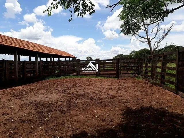 Imagem 1: Fazenda para Venda em Inocência, Centro, 2 Dormitórios, 2 Suítes, 1 Banheiro